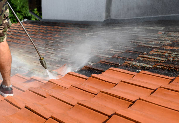 Best Roof Power Washing Services  in Appleton City, MO