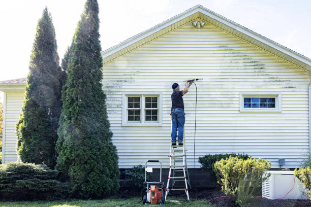 Best Sidewalk Pressure Washing  in Appleton City, MO