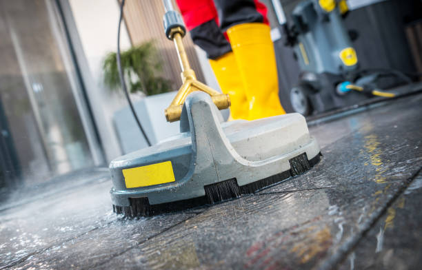 Best House Pressure Washing  in Appleton City, MO