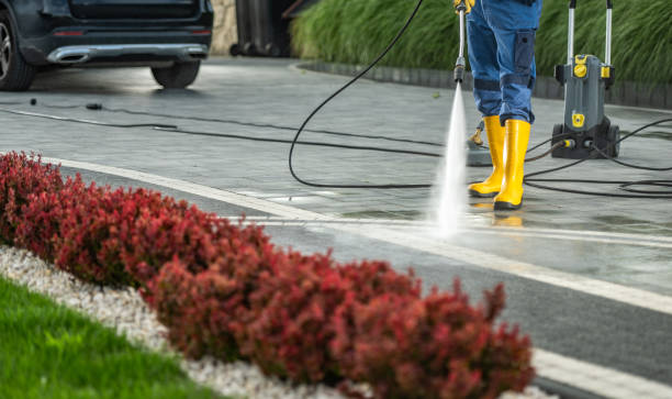 Best Concrete Pressure Washing  in Appleton City, MO