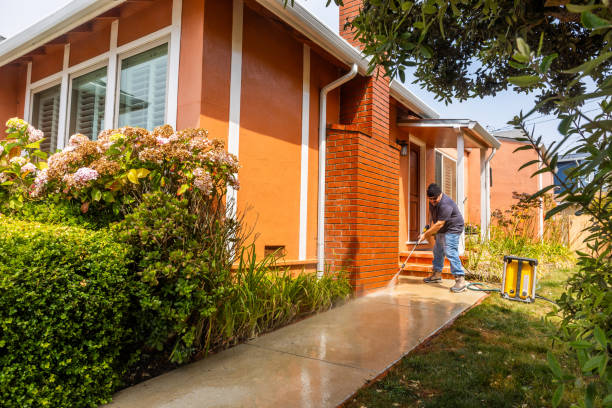 Best Pressure Washing Driveway  in Appleton City, MO