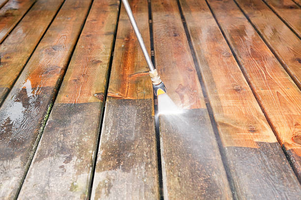 Best Roof Pressure Washing  in Appleton City, MO