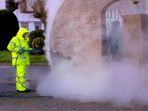 Best House Pressure Washing  in Appleton City, MO
