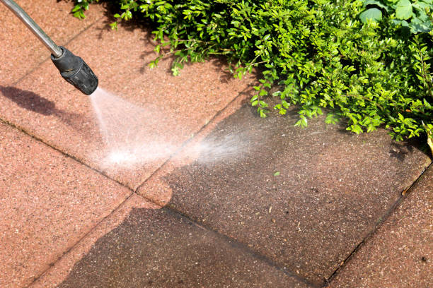 Best Commercial Building Pressure Washing  in Appleton City, MO